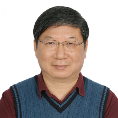 石偉平 教授 (PhD Supervisor)