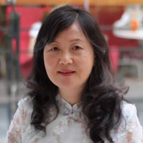 Lixian JIN, Chair Professor (PhD Supervisor)
