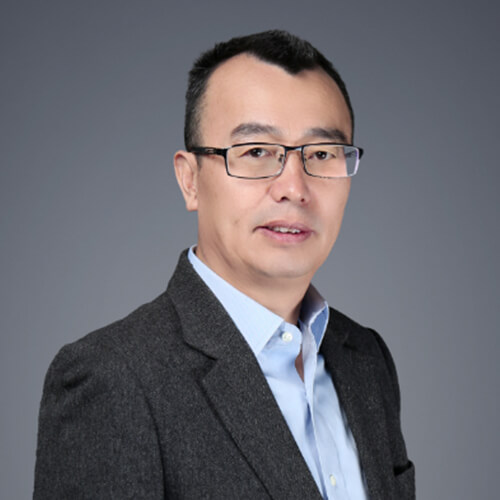 李盛兵 教授 (PhD Supervisor)